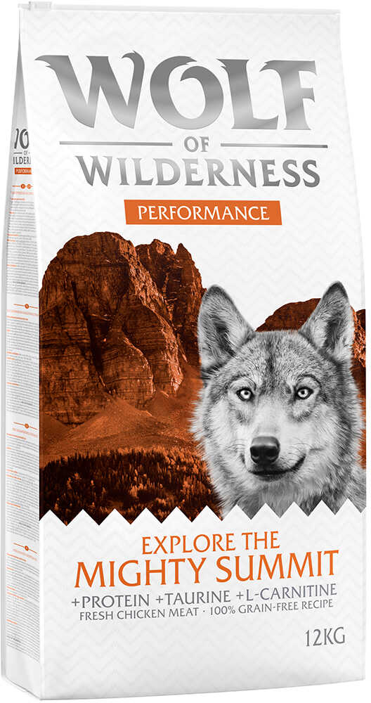 Wolf of Wilderness  