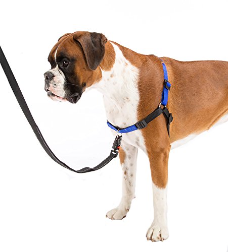 Ferplast Coach Hundegeschirr, 15 - 18 Cm/33 - 41 Cm Größe