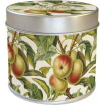 Skona Ting Zapachowa świeczka 204 - jabłoń - zapach jabłkowy
