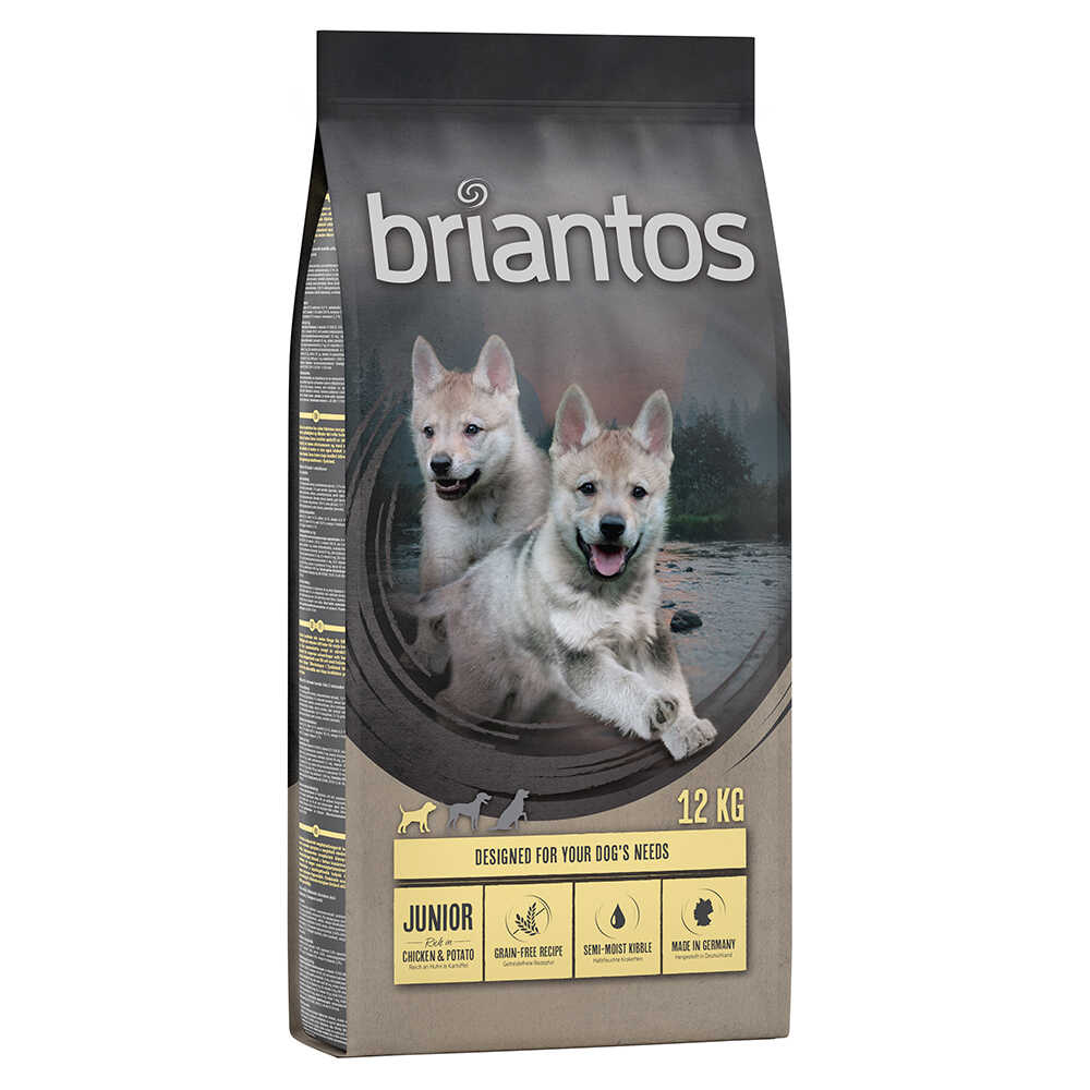 briantos 11 + 1 kg gratis! bez zbóż, 12 kg - Junior Kurczak z ziemniakami