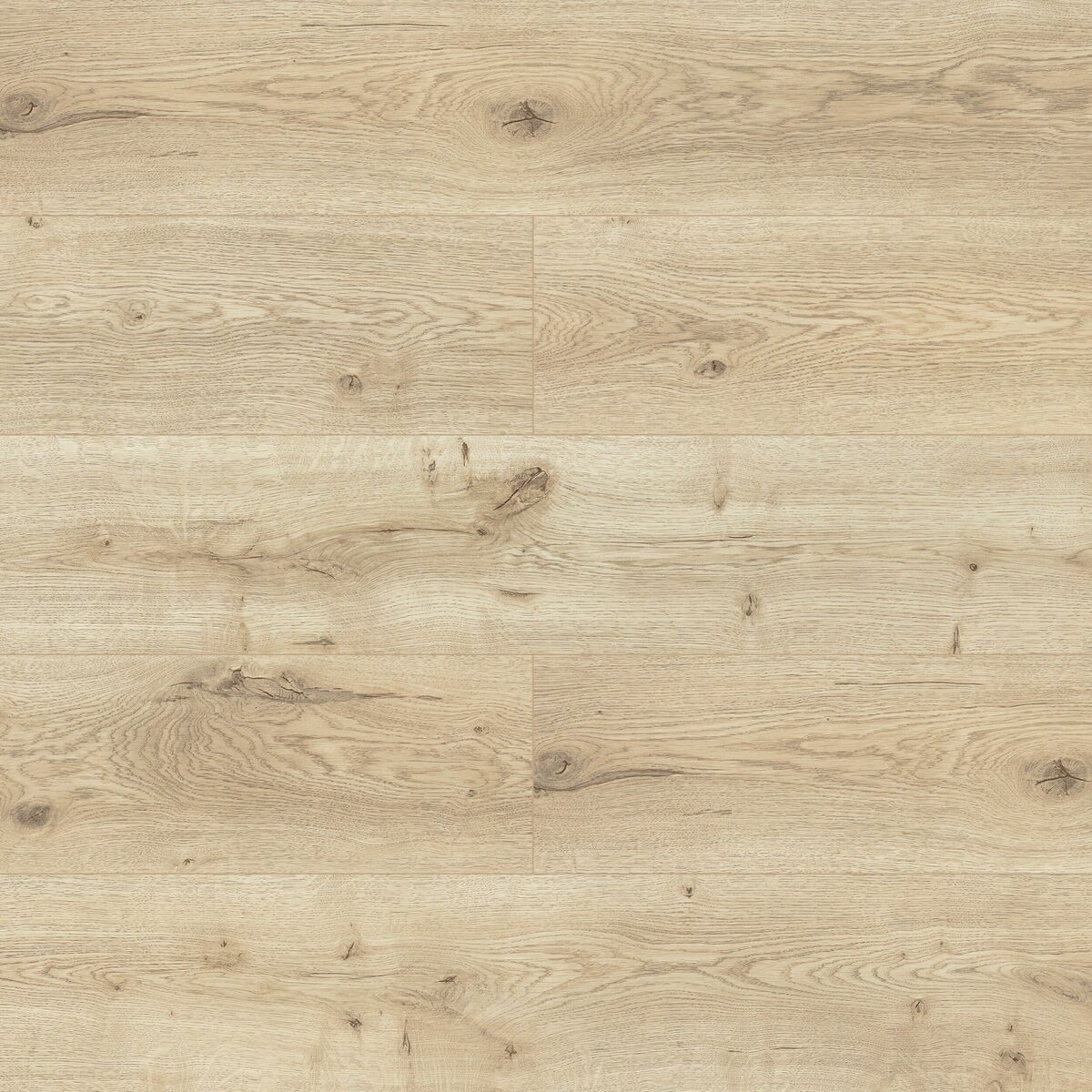 Panele podłogowe laminowane Dąb Sonata AC4 8 mm Promo