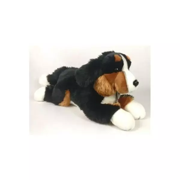 Pies berneński 42cm Dubi