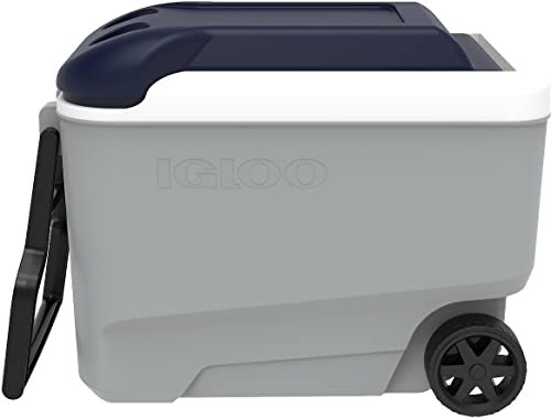 IGLOO Outdoorowa lodówka turystyczna Maxcold Ash Grey/Blue 38 litrów