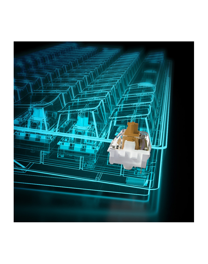 D-E layout - Sharkoon SKILLER SGK50 S4, gaming keyboard Kolor: BIAŁY/Kolor: CZARNY, Kailh Brown