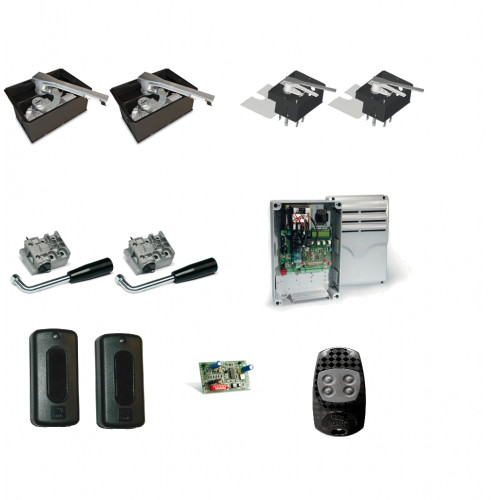 Came Zestaw FROG PLUS PM4 (wjazd do 11m)