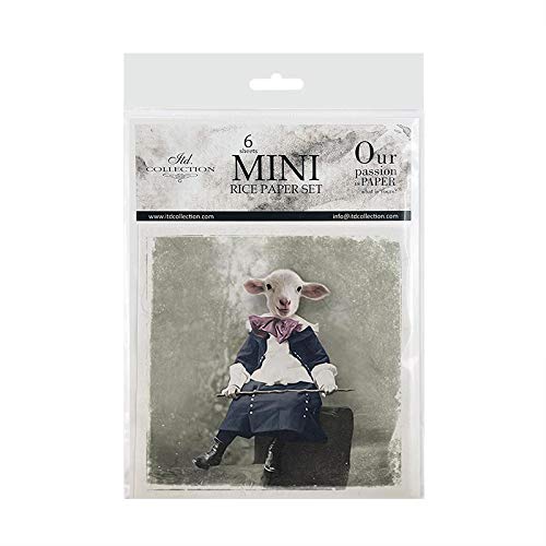Zestaw papierów ryżowych ITD RSM034