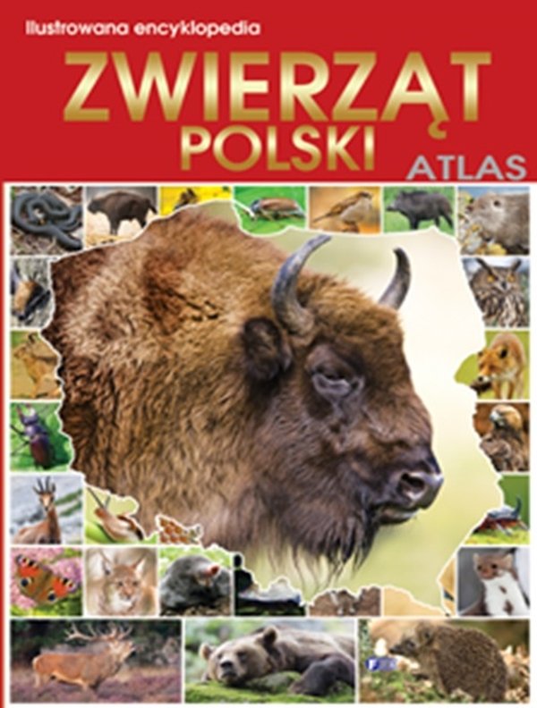 Fenix Ilustrowana encyklopedia zwierząt Polski. Atla - Fenix