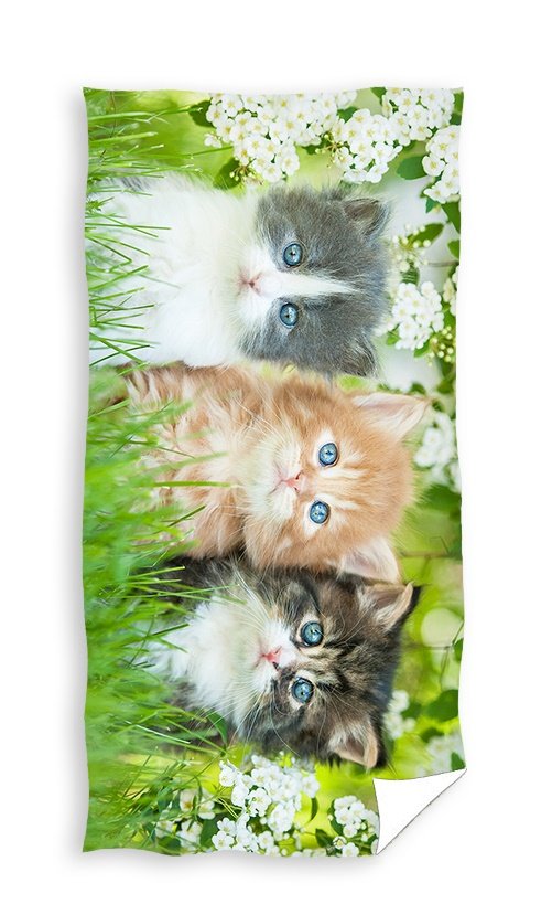 Ręcznik kąpielowy, wzór kotki, 70x140 cm