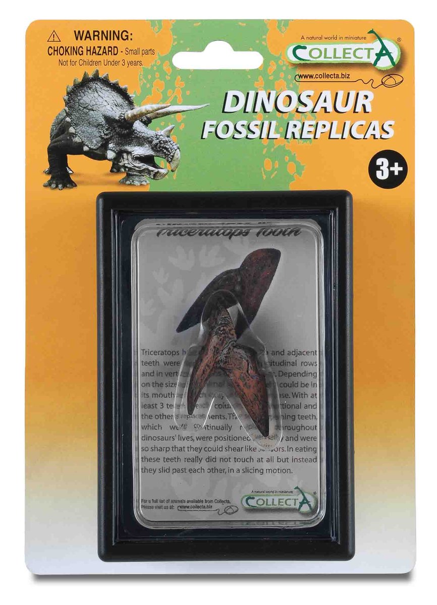 Collecta Ząb Triceratopsa -