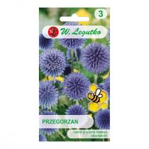 Legutko Przegorzan pospolity ciemnoniebieski 1g