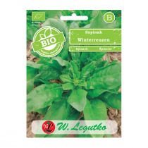 Legutko Nasiona Szpinak Winterreuzen BIO 10g -