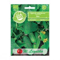 Legutko Ogórek gruntowy sałatkowy DAR BIO