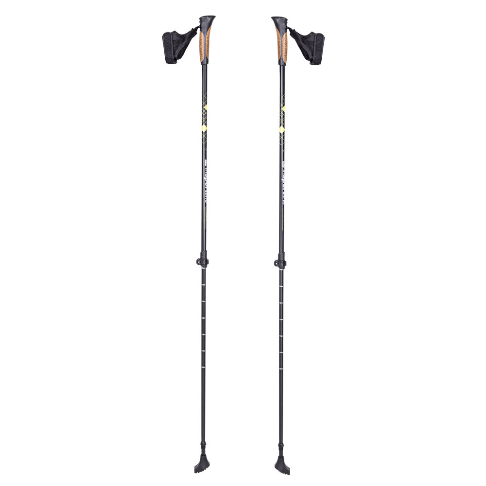 inSPORTline Kijki do chodzenia Nordic Walking Hallti regulowane
