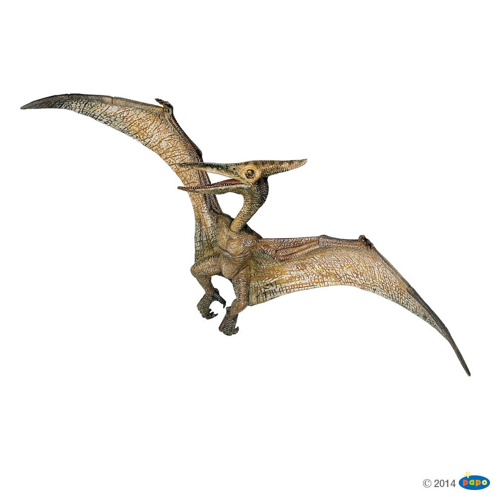 Pteranodon