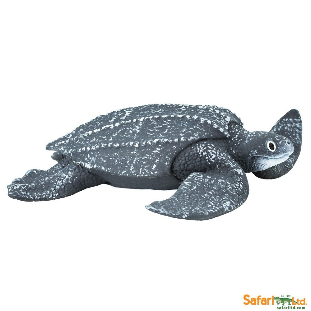 Safari Żółw skórzasty - Ltd. - 202429