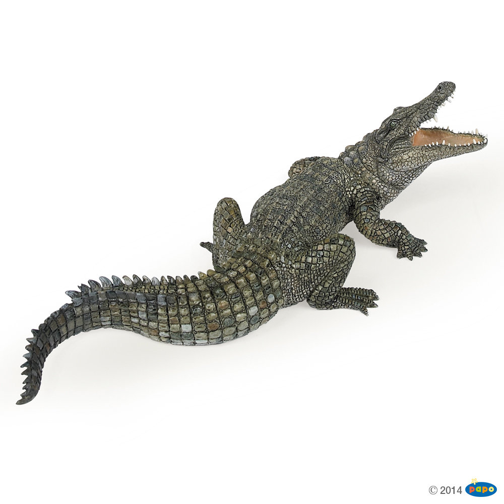 PAPO Krokodyl nilowy