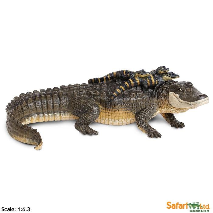 XL Safari Ltd 259629 Aligator z młodymi 30,5x19cm  skala 1:6,3