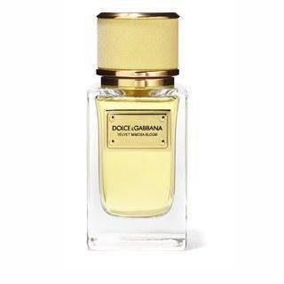 Dolce&Gabbana Velvet Mimosa Bloom woda perfumowana 50ml
