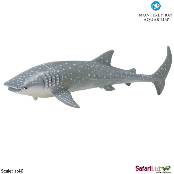 Safari Ltd 210602 Rekin wielorybi 1:40  24x8,5cm  MONTEREY B