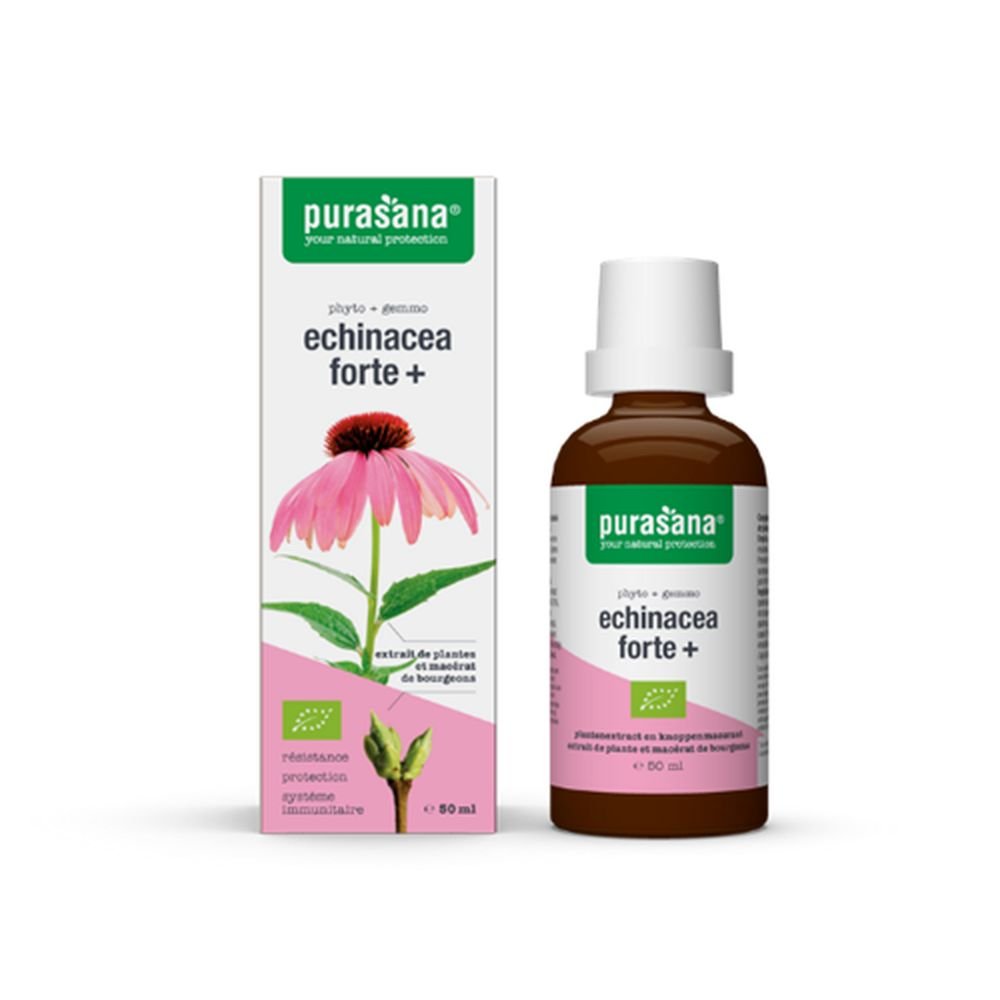 PURASANA ECHINACEA FORTE (JEŻÓWKA PURPUROWA) KROPLE BIO 50 ml - PURASANA