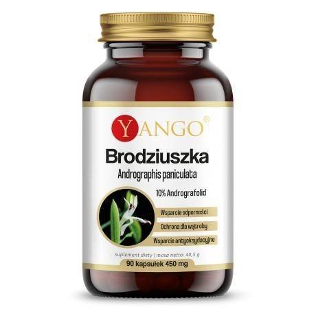 YANGO Yango Brodziszka 90 k YA138