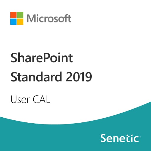 SharePoint Standard 2019 User CAL