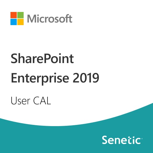 SharePoint Enterprise 2019 User CAL