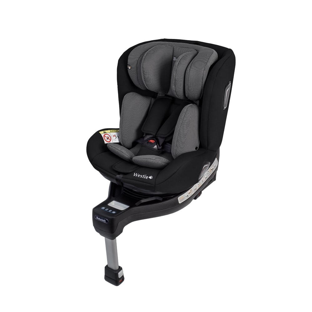 BabySafe Westie 0-18 kg Grey Black