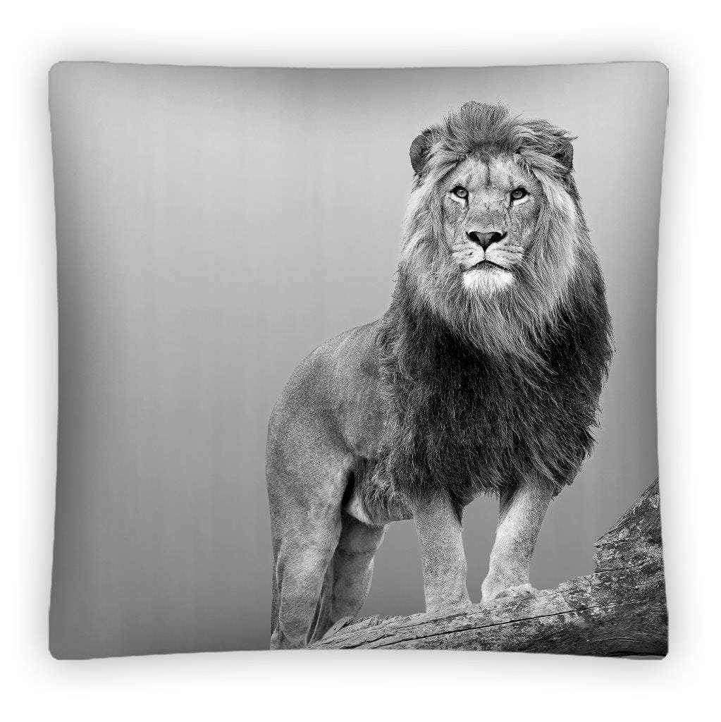 Detexpol Poszewka na poduszkę 3D 40x40 LEW PS 02 41683
