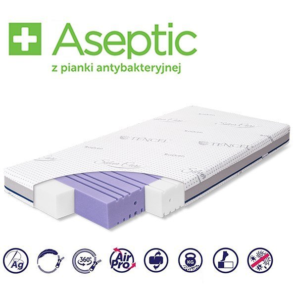 Rücken Aseptic 120x60x11