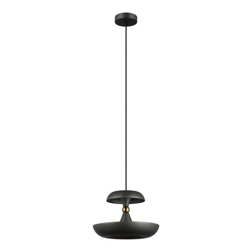 Marina D26 lampa wisząca 1-punktowa grafitowa PND-73221-1M-GR
