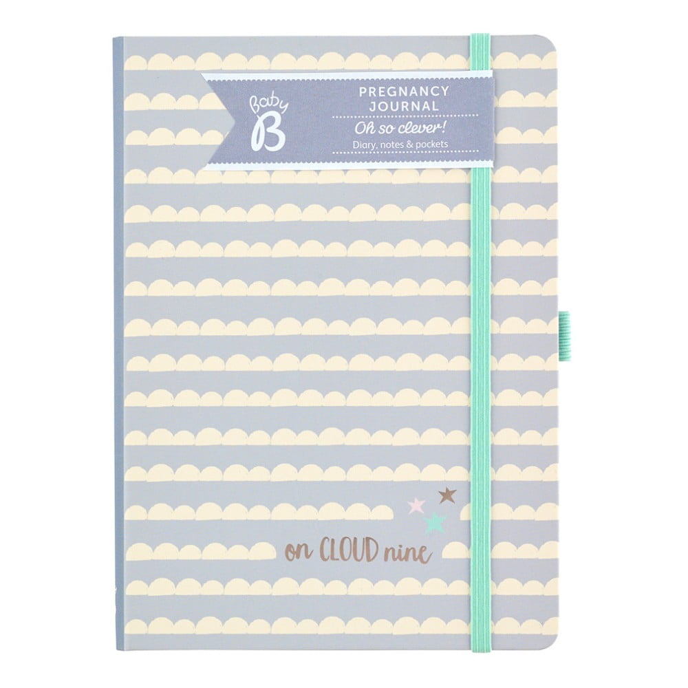 Pamiętnik ciążowy Busy B Pregnancy Journal