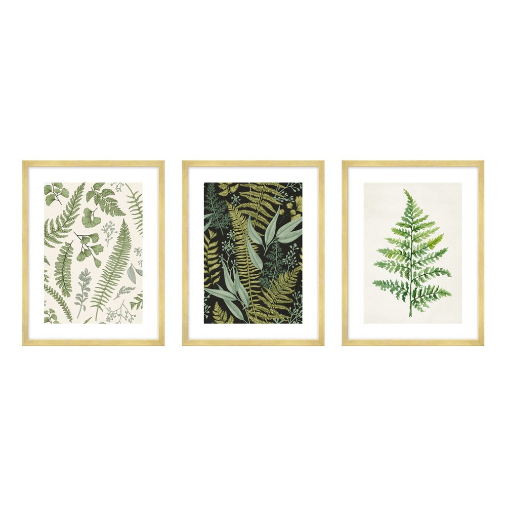 Obrazy zestaw 3 szt. 30x40 cm Fern