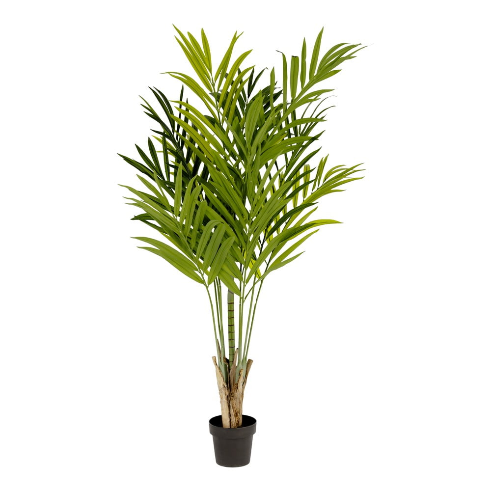 Sztuczna bambusowa palma Kave Home, wys. 170 cm