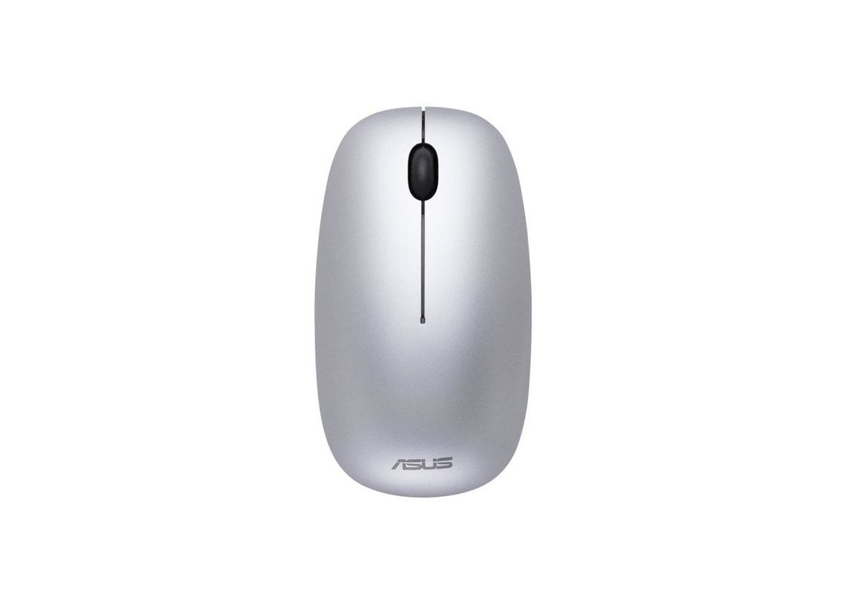 Asus MW201C Bezprzewodowa Szara 90XB061N-BMU000