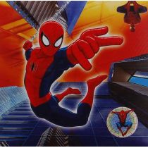 Disney Album 10x15 200 foto dziecięcy Disney 04