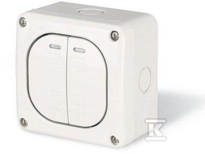 Łącznik podwójny natynkowy,10AX M95, IP66, szary, PROTECTA