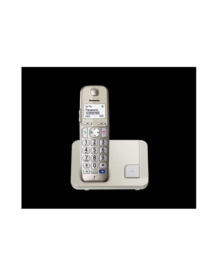 Panasonic KX-TGE210FXN
