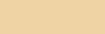 . Karton kolorowy A1 chamois nr 45