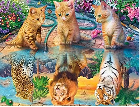 Mozaika Diamentowa 5D Haft Malowanie Koty i Ich Odbicia ** KUP Z DOSTAWĄ TEGO SAMEGO DNIA DO NAJWIĘKSZYCH MIAST ** 0000045777