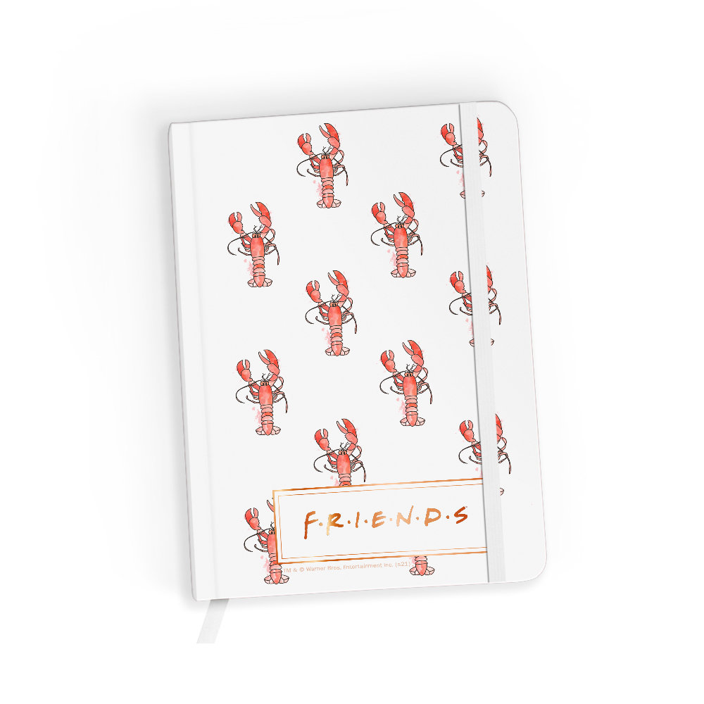 Notes w linie, Friends 010, biały z kolorowym nadrukiem