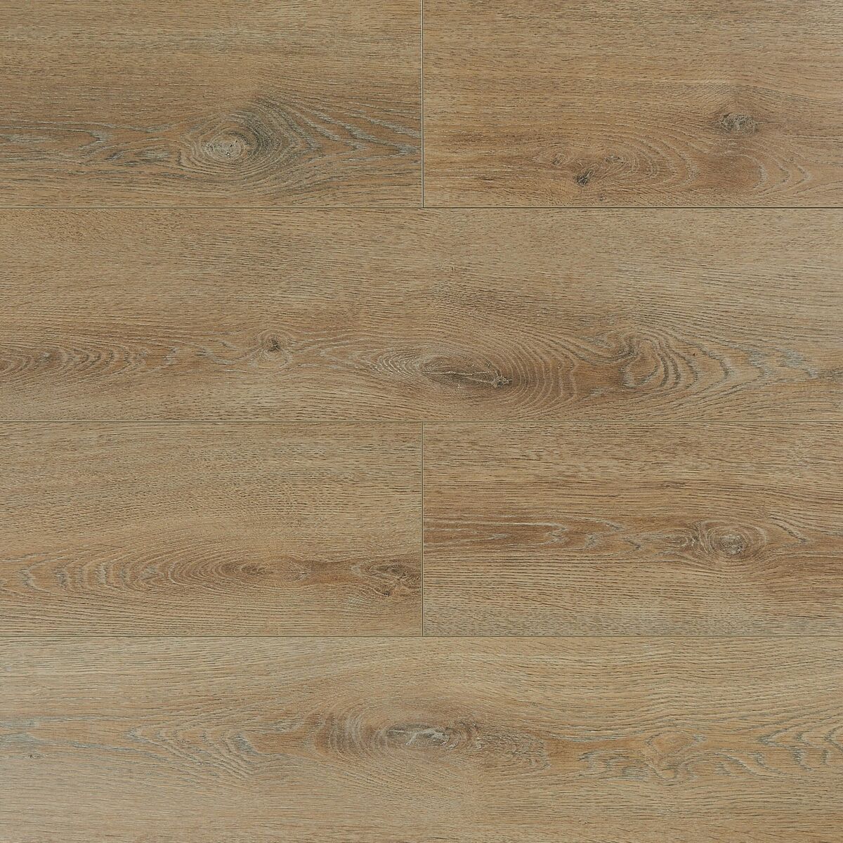 Panele podłogowe laminowane wodoodporne Almond  529 AC6 12 mm Alsapan