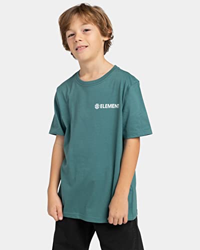 Quiksilver Bluzka chłopięca Blazin Chest Ss Youth (1 szt.)