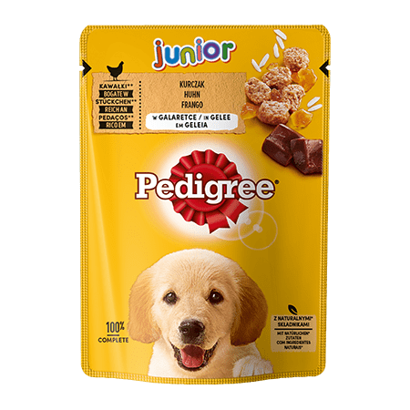 PEDIGREE Junior z Kurczakiem i Ryżem saszetka 24x100 g