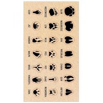 Ranok-Creative Naklejki Ślady zwierząt