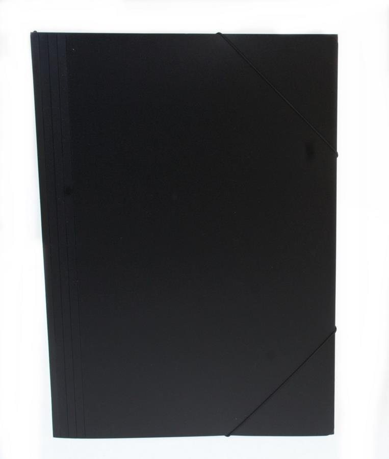 Durable Teczka z gumką PP Pagna A3 przezroczysta A2163819