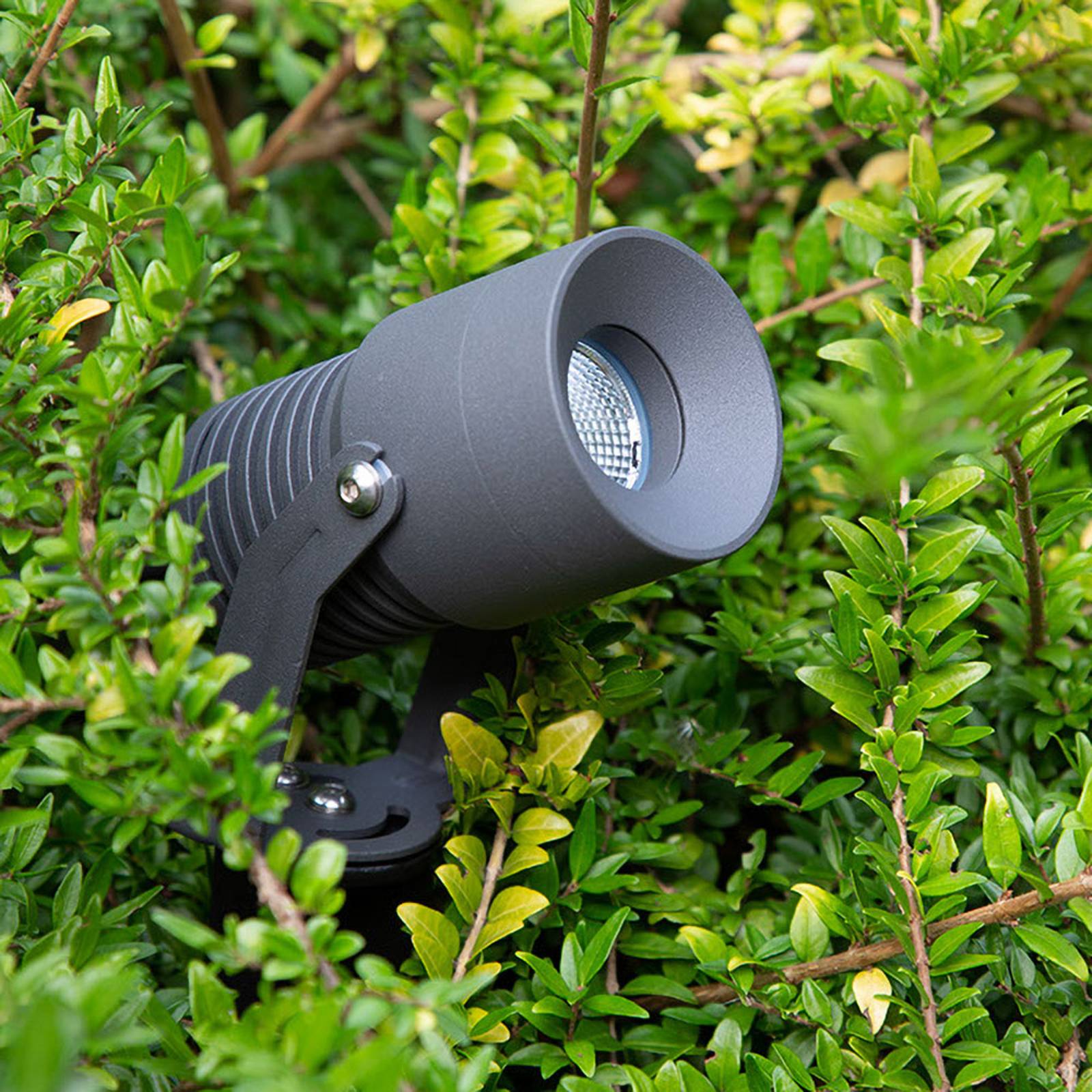 EVN Merlo spot ogrodowy LED z grotem, 3 000 K, 10W