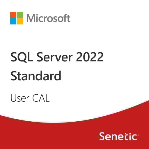 SQL Server 2022 - 1 User CAL