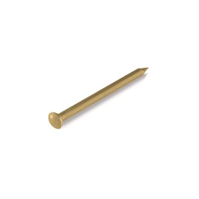 Gwóźdź 1,5 x 25 mm mosiądzowany / łeb soczewkowy
