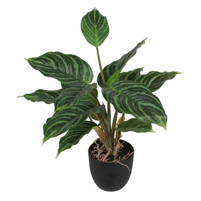SPLENDID Aglaonema sztuczna 35cm w doniczce